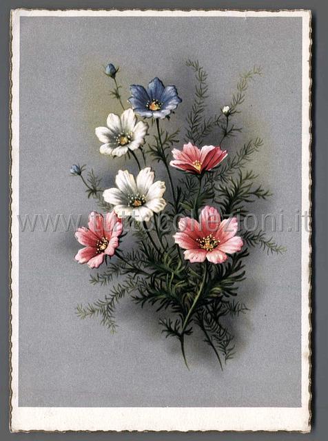 Collezionismo di cartoline postali di fiori e piante